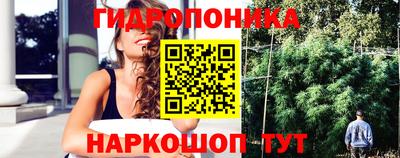 меф Шелехов