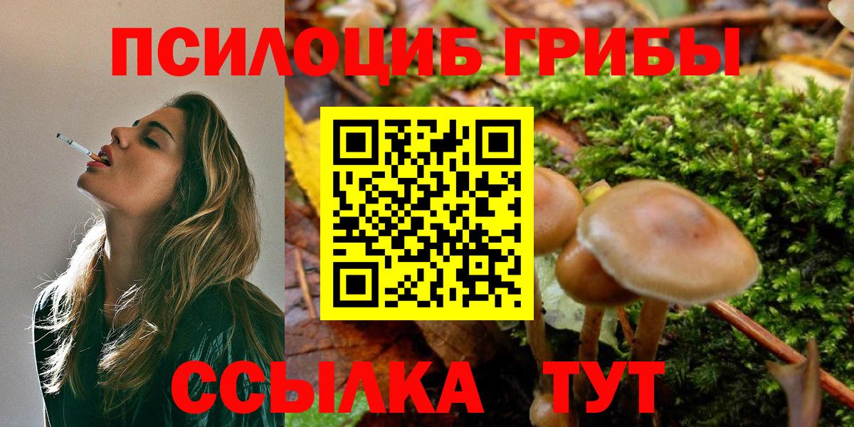 купить  цена  Вход с VPN  Брянск  Псилоцибиновые грибы мухоморы 