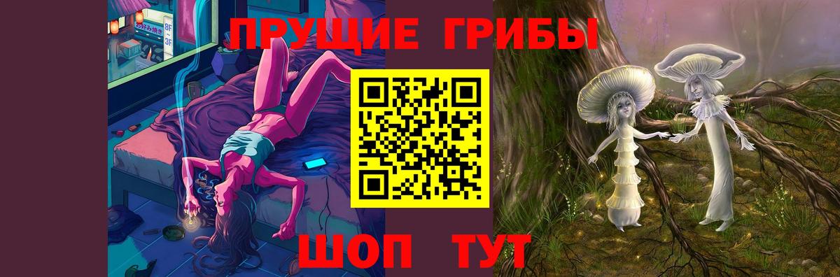 Псилоцибиновые грибы мухоморы Брянск
